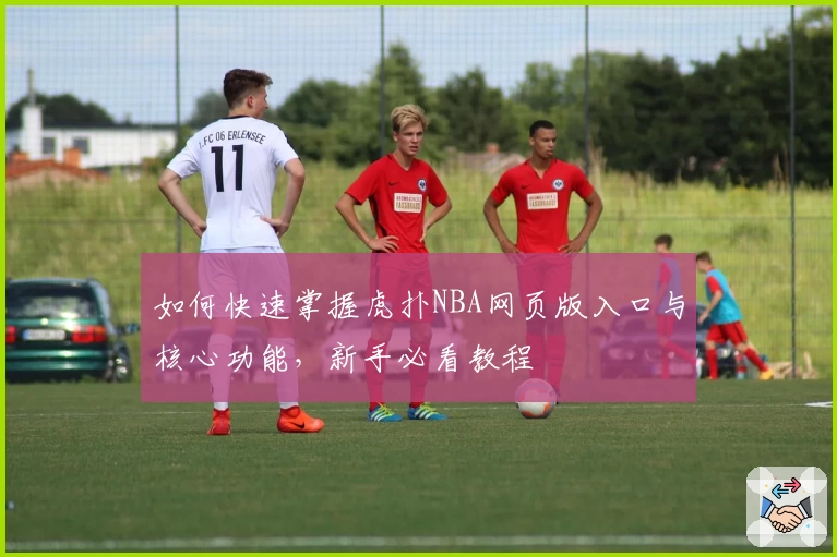 如何快速掌握虎扑NBA网页版入口与核心功能，新手必看教程