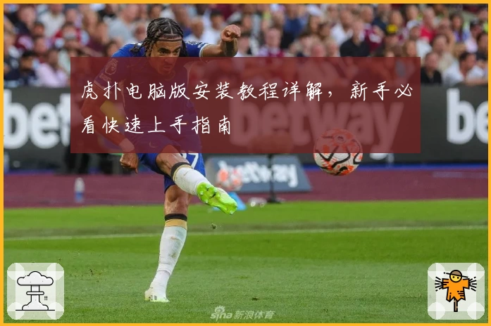 虎扑电脑版安装教程详解，新手必看快速上手指南