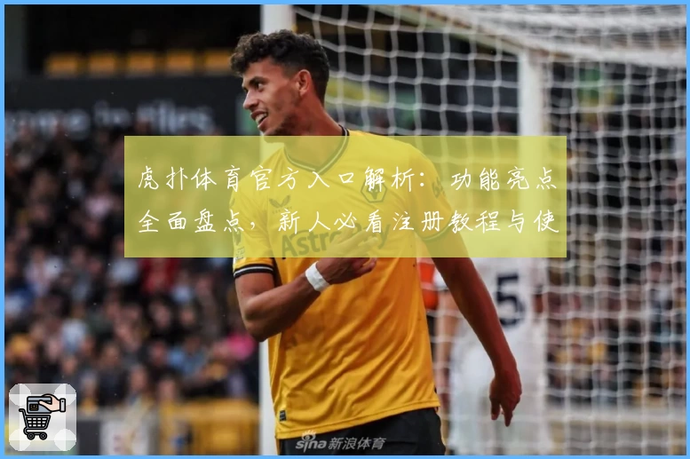 虎扑体育官方入口解析：功能亮点全面盘点，新人必看注册教程与使用指南